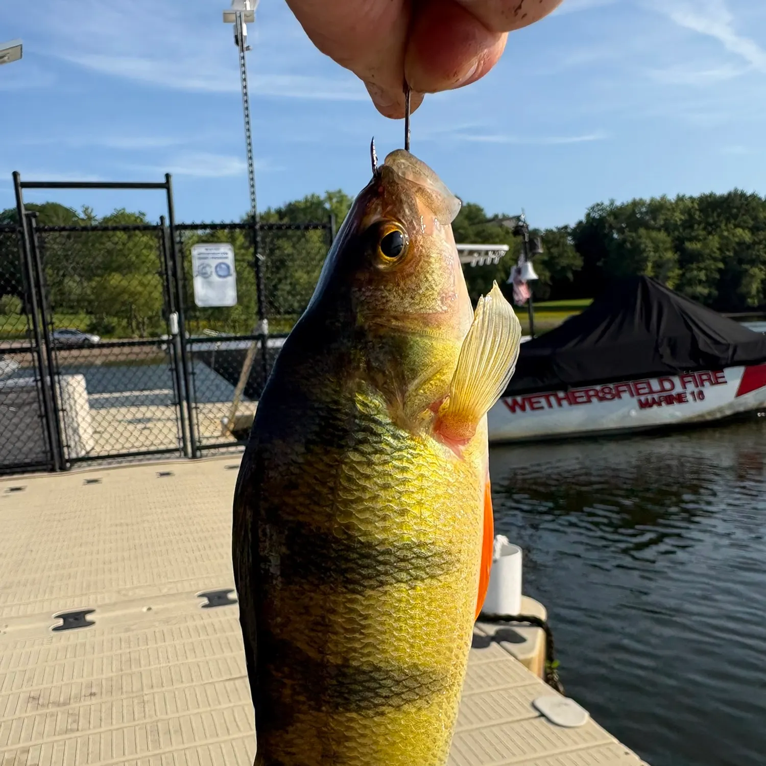 catch