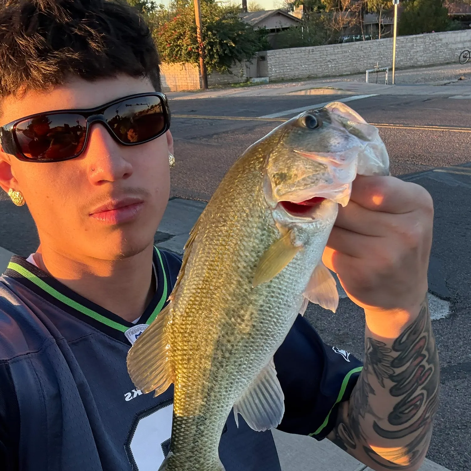 recently logged catches