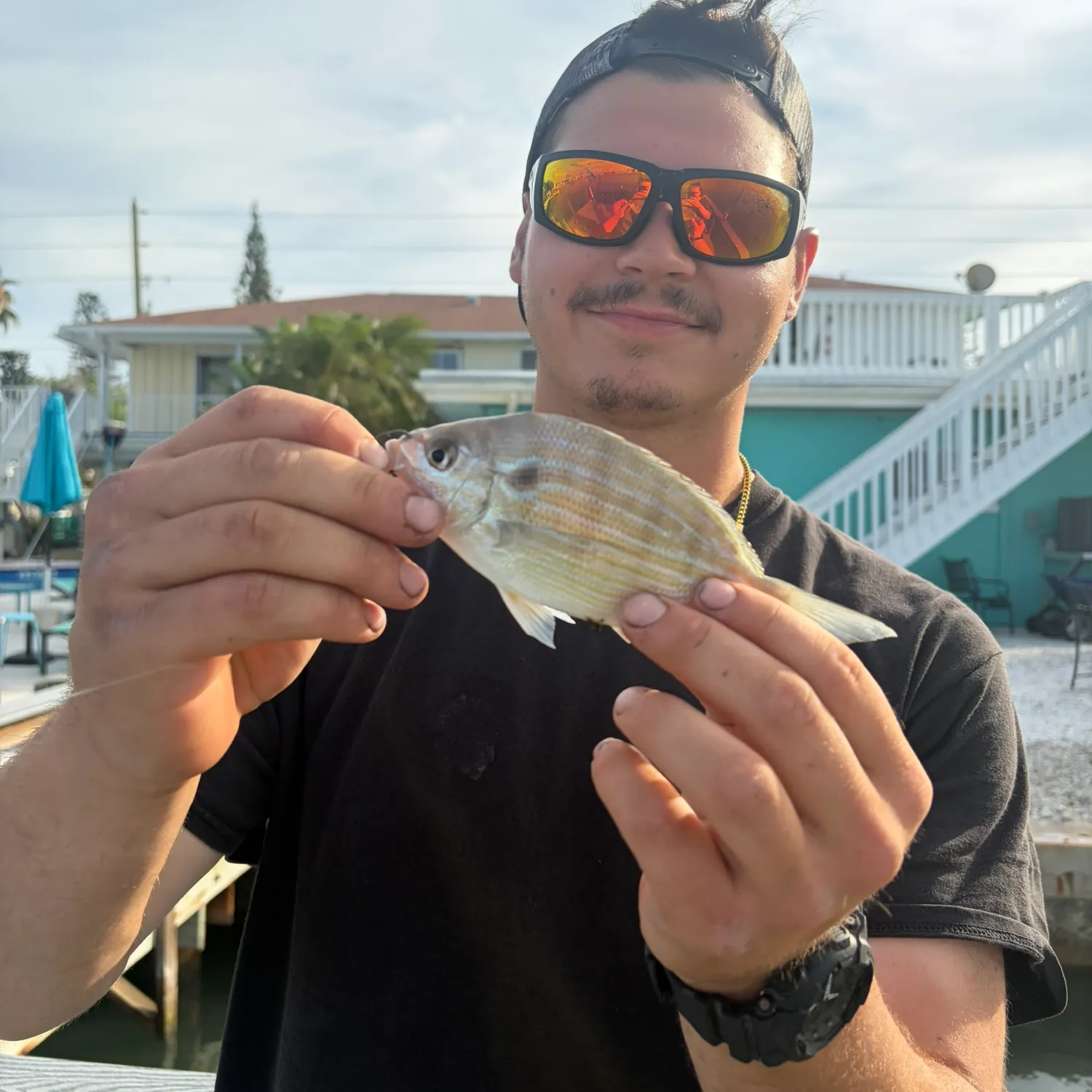 The most recent Pinfish catches on Fishbrain