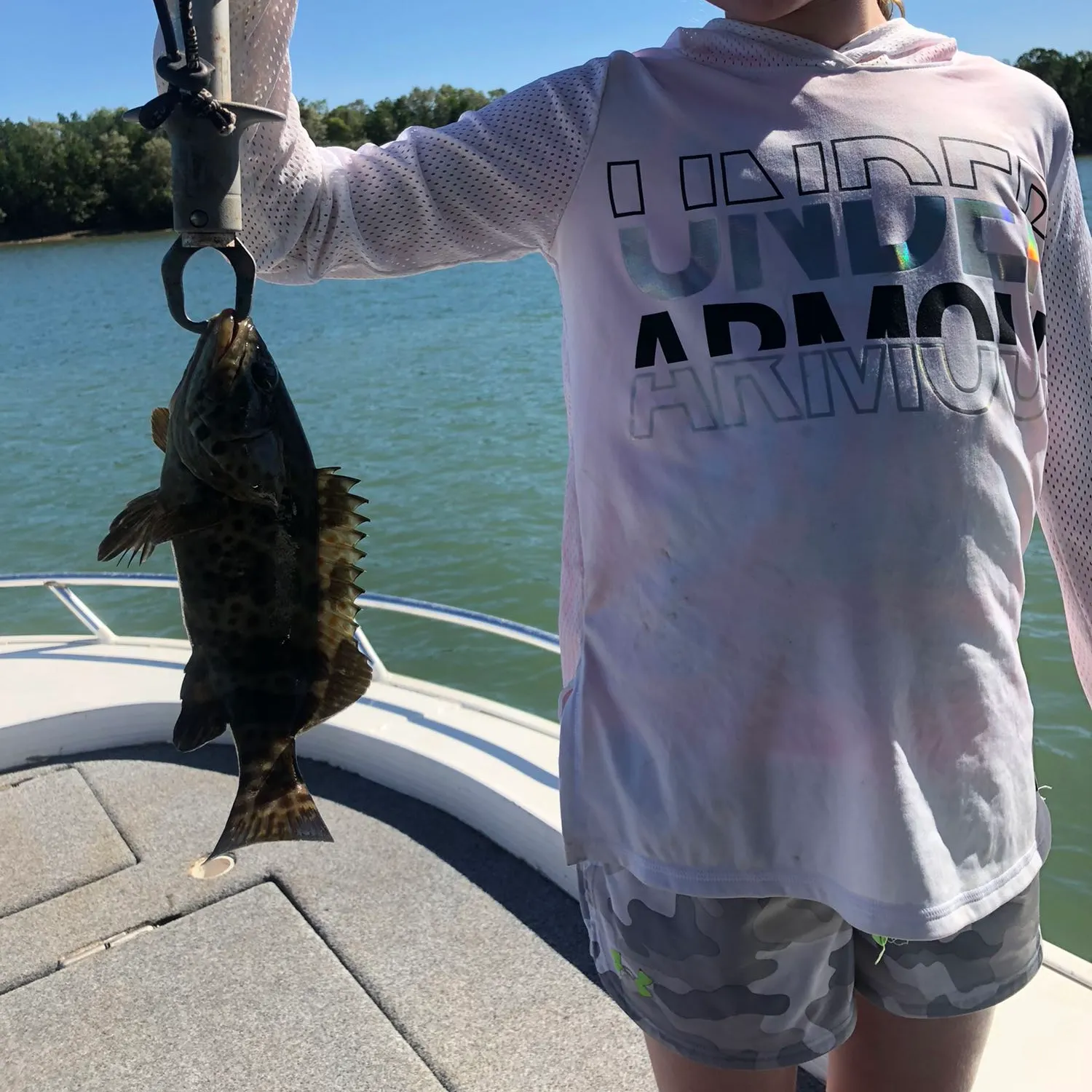 Orange-spotted grouper caught on Fishbrain