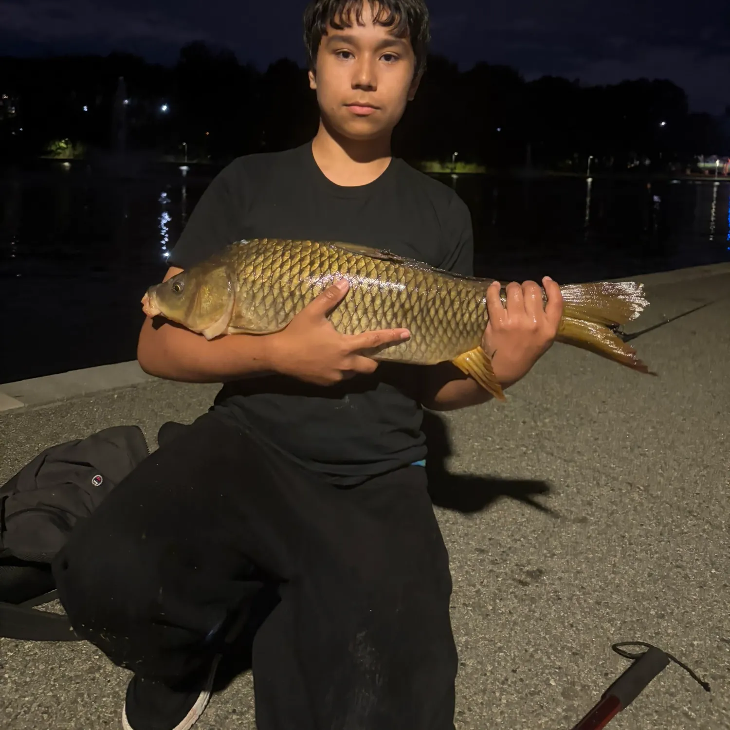 Common carp caught on Fishbrain