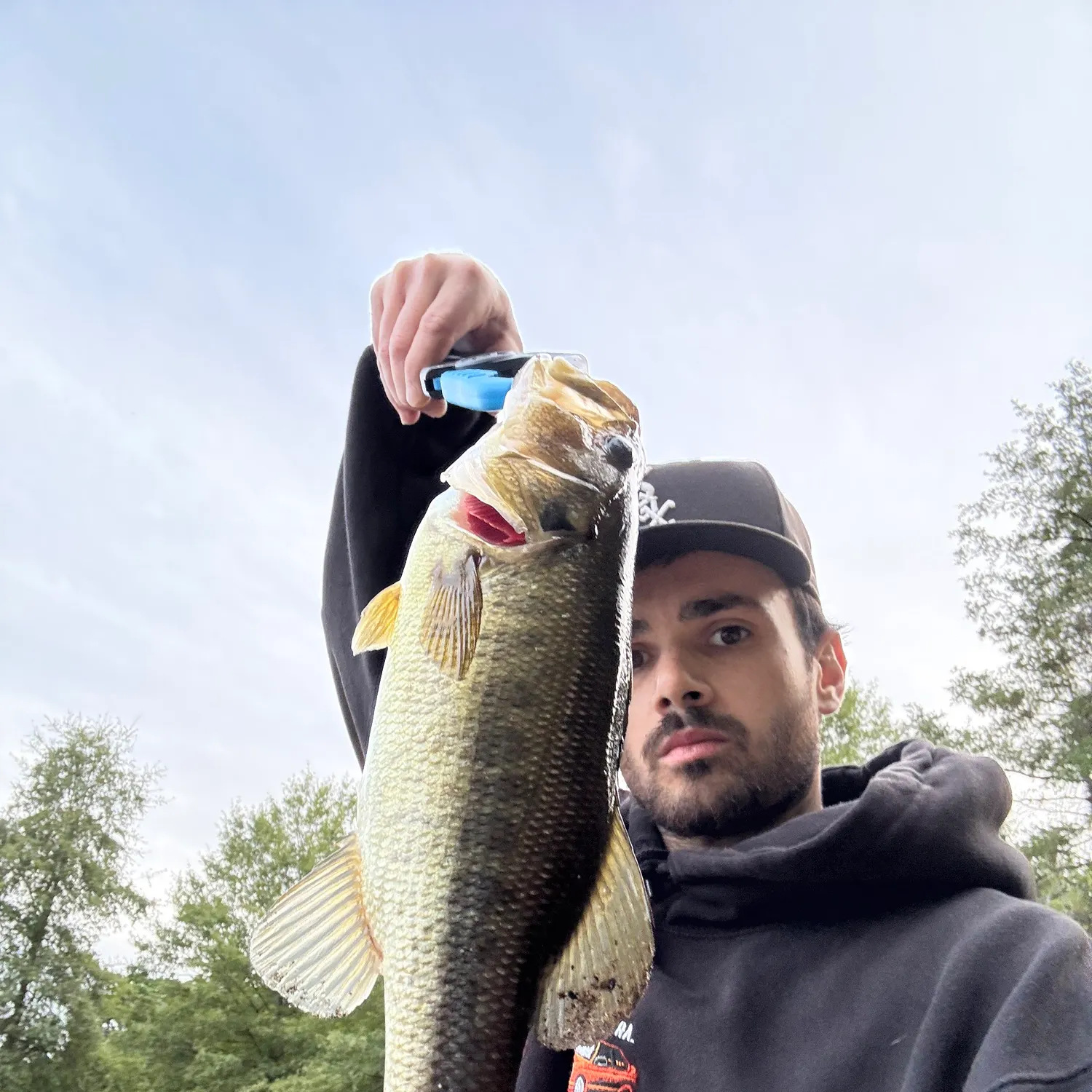 Largemouth bass caught on Fishbrain