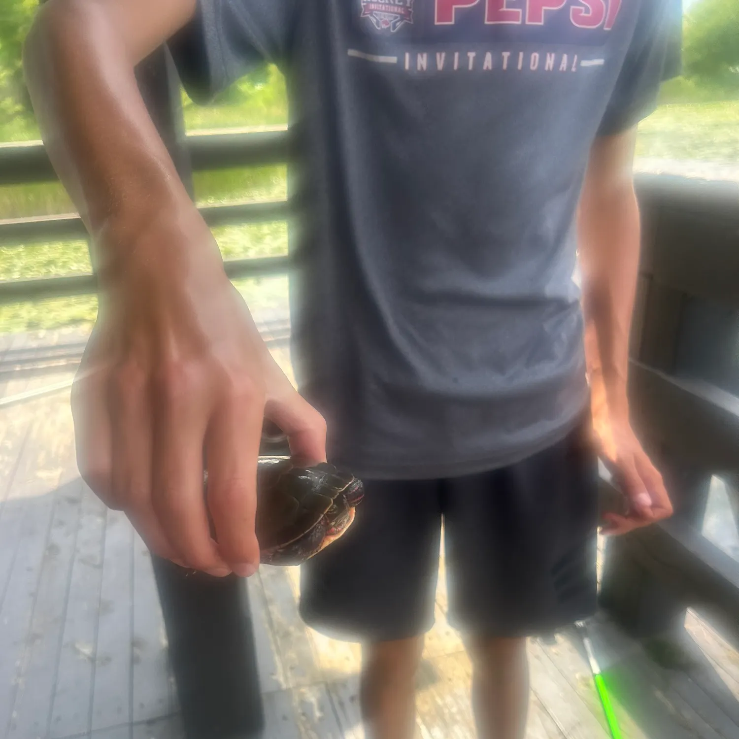 Painted turtle caught on Fishbrain