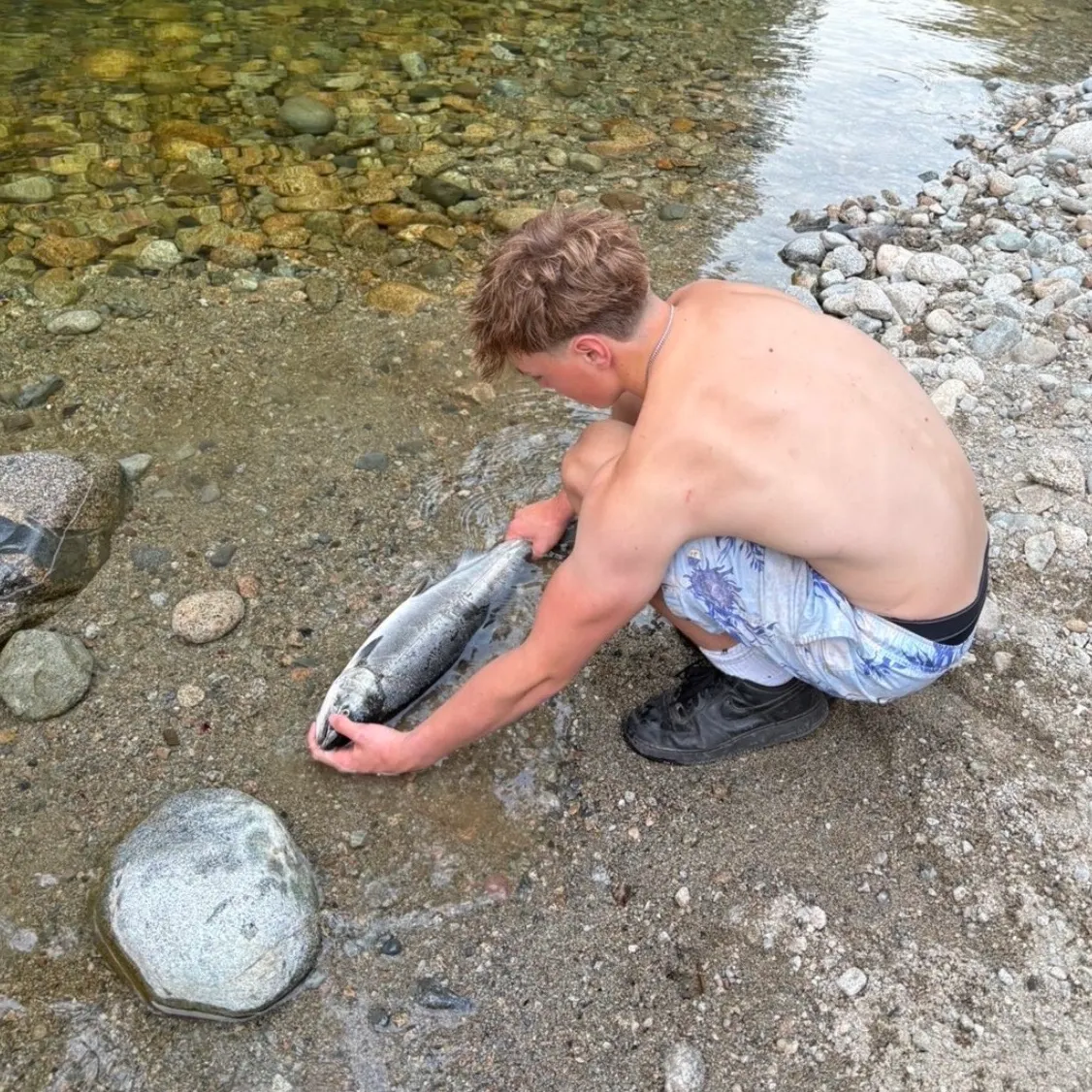 Coho salmon caught on Fishbrain