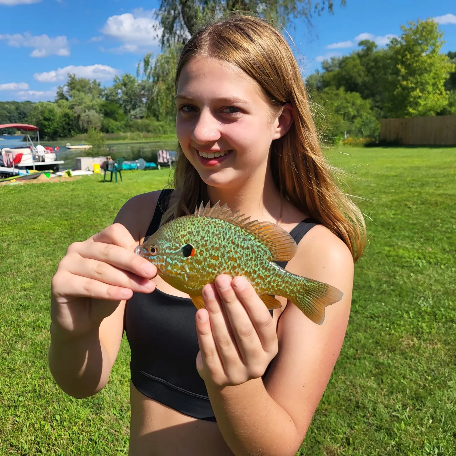 Pumpkinseed caught on Fishbrain