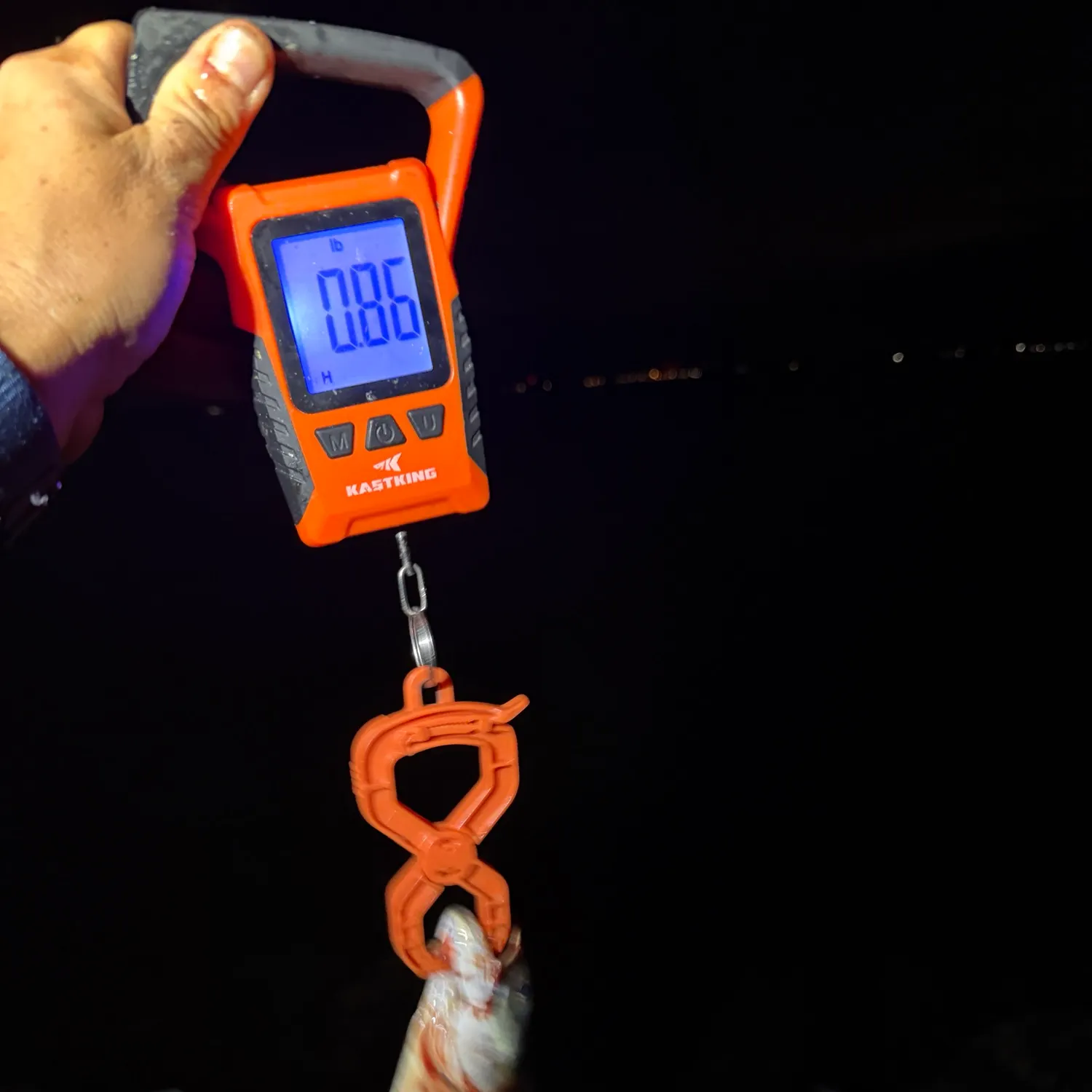 Bluefish caught on Fishbrain
