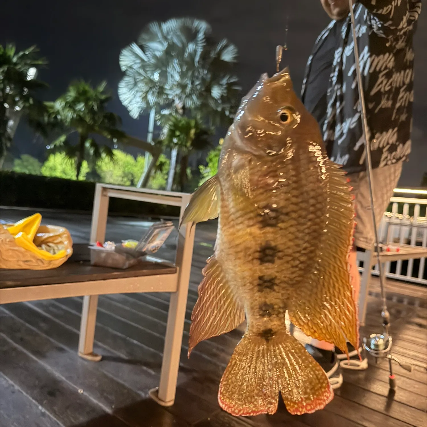 recently logged catches