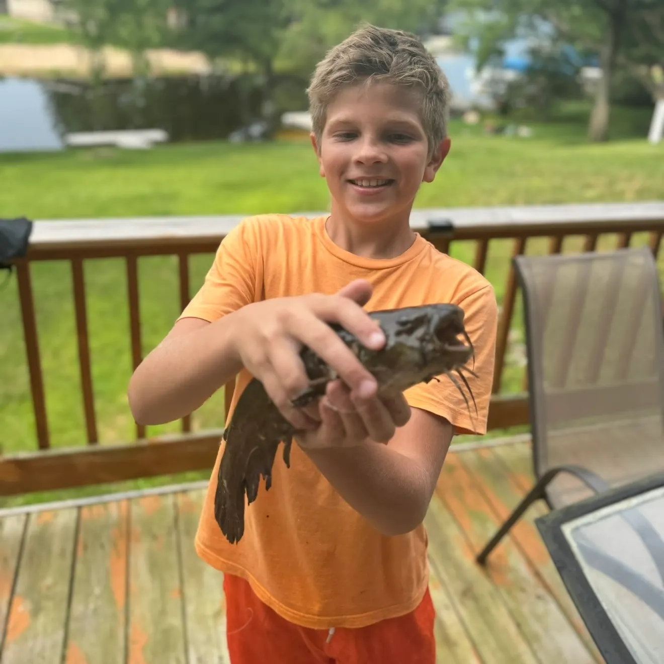 Black bullhead caught on Fishbrain
