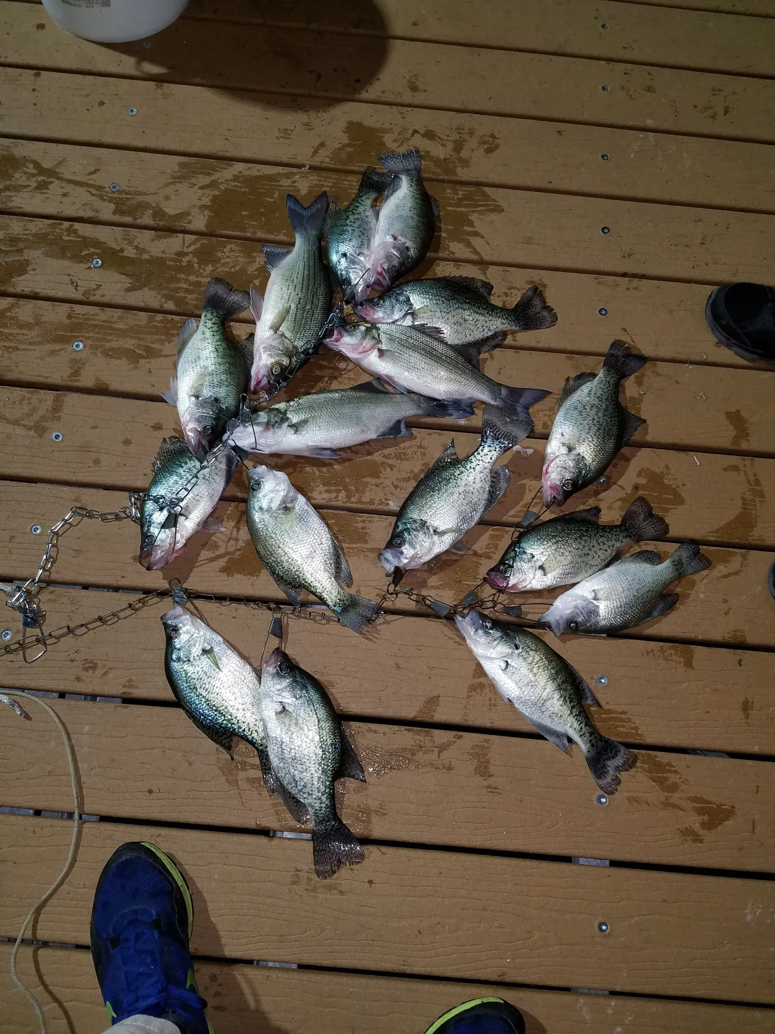 Post image from jtemplin