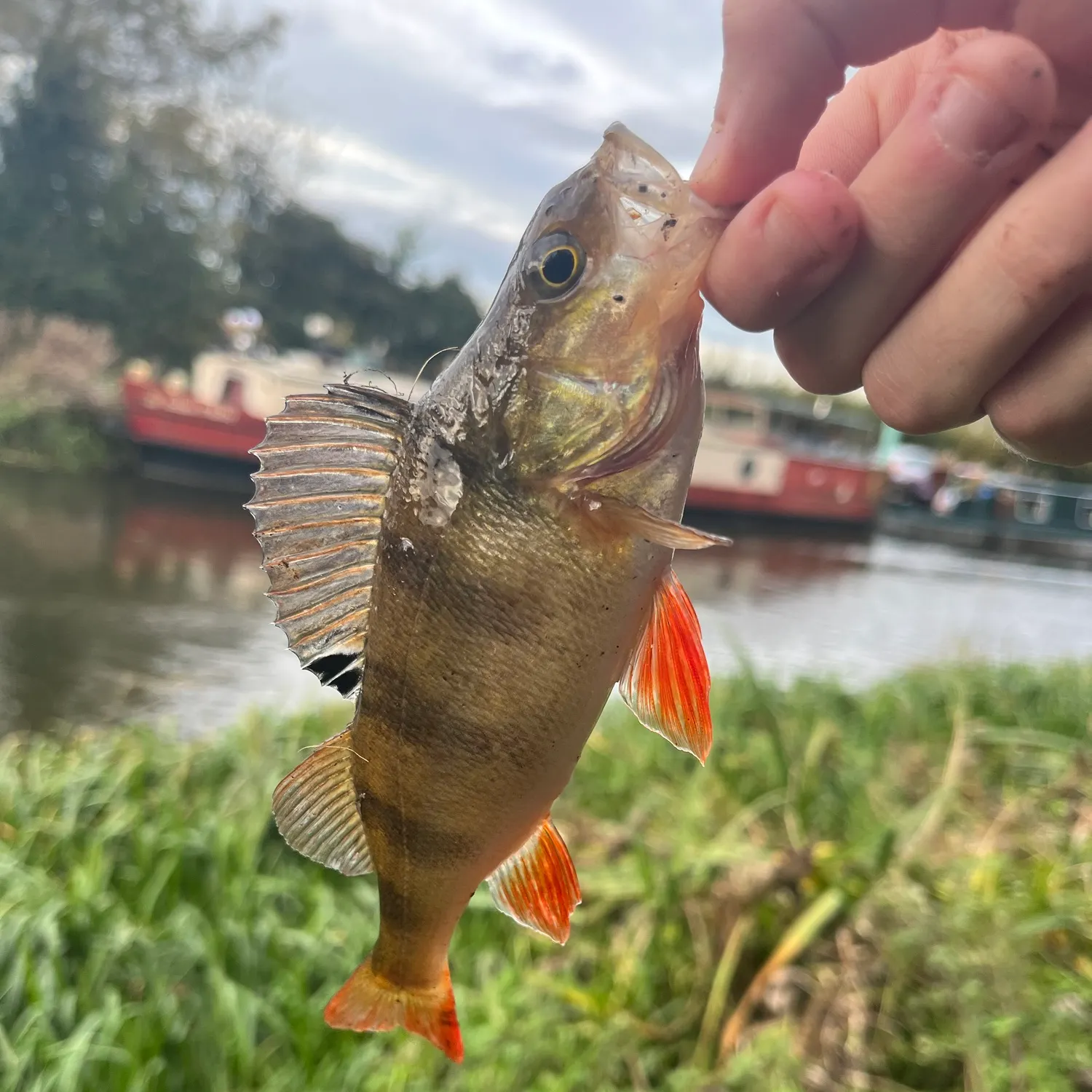 catch