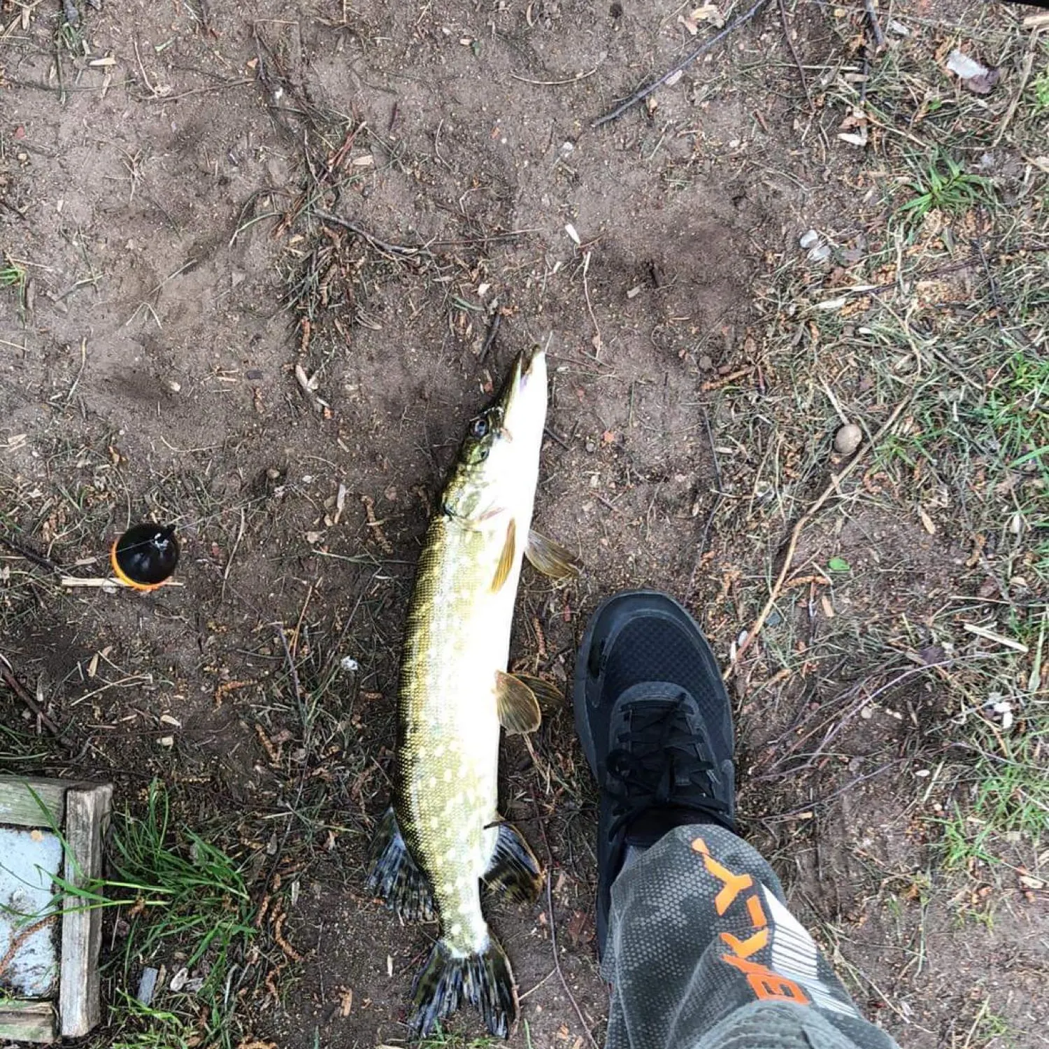 catch