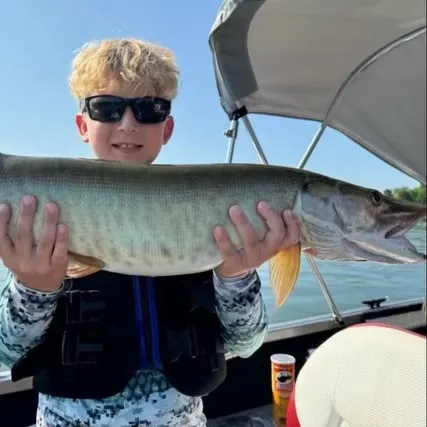 The most recent Muskellunge catches on Fishbrain