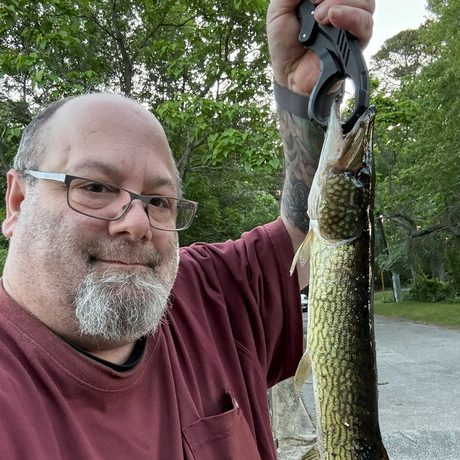 recently logged catches