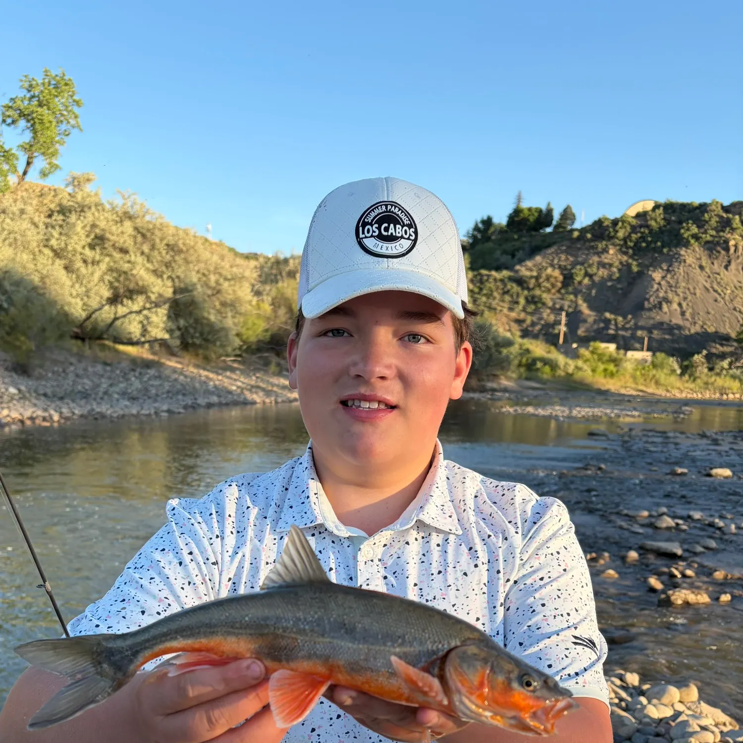 The most recent Roundtail chub catches on Fishbrain