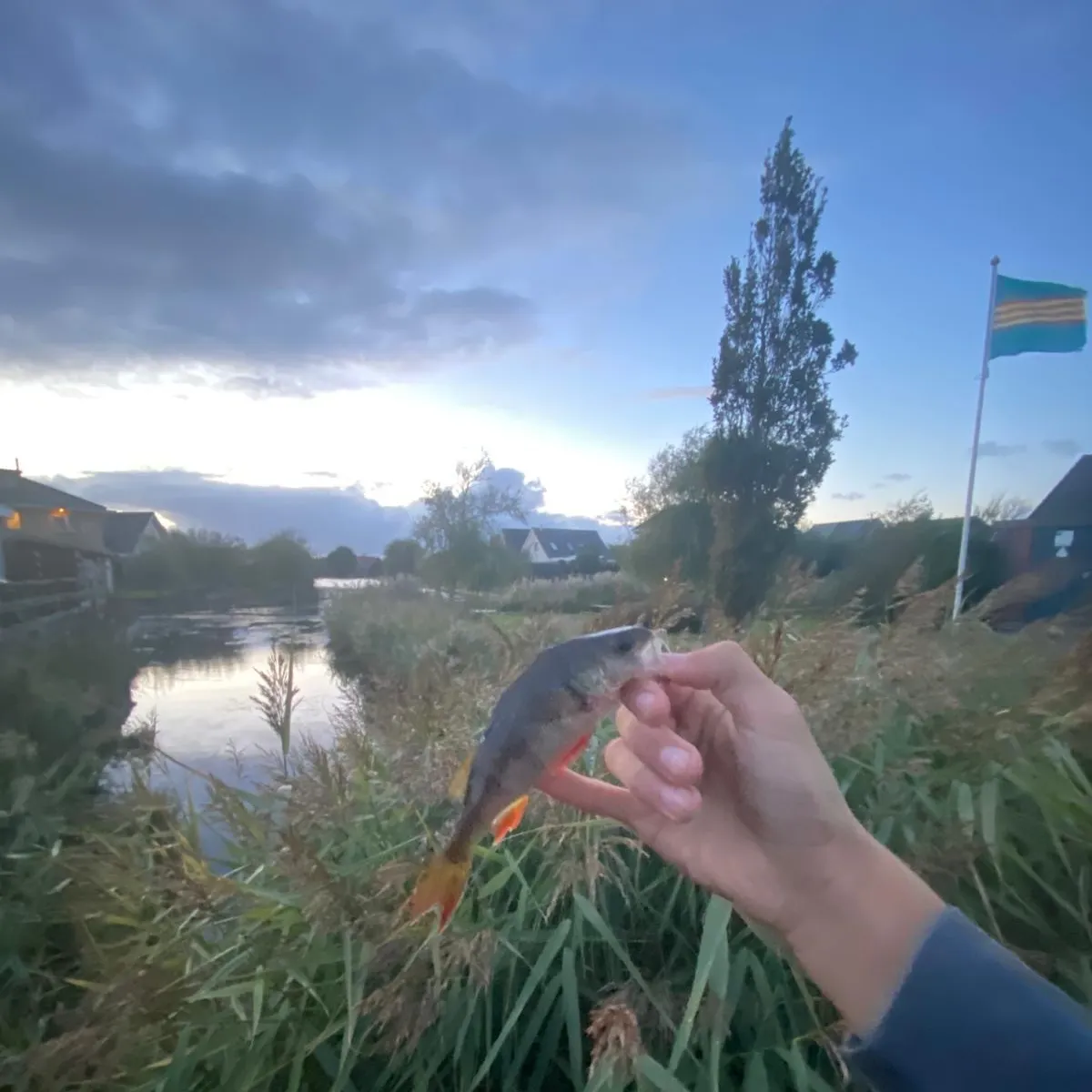 Fish caught on Fishbrain