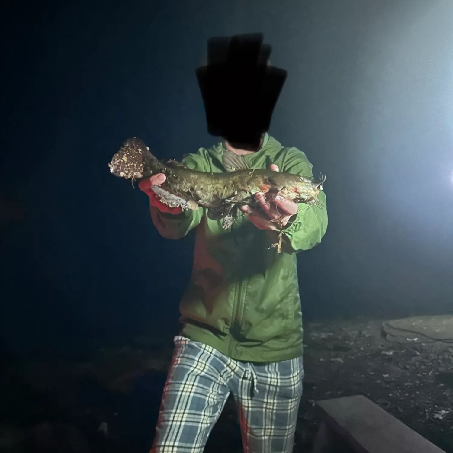 Brown bullhead caught on Fishbrain