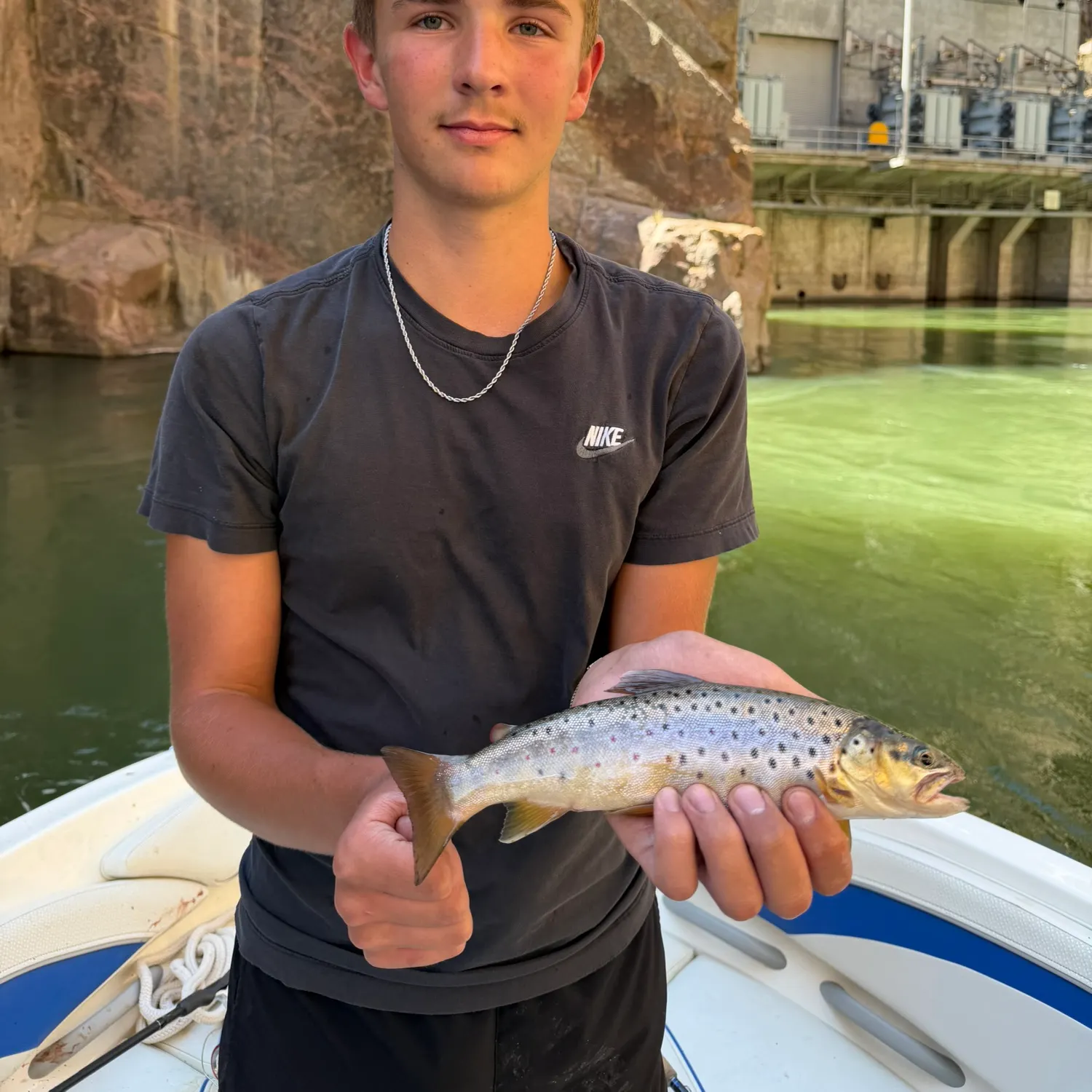 Brown trout caught on Fishbrain