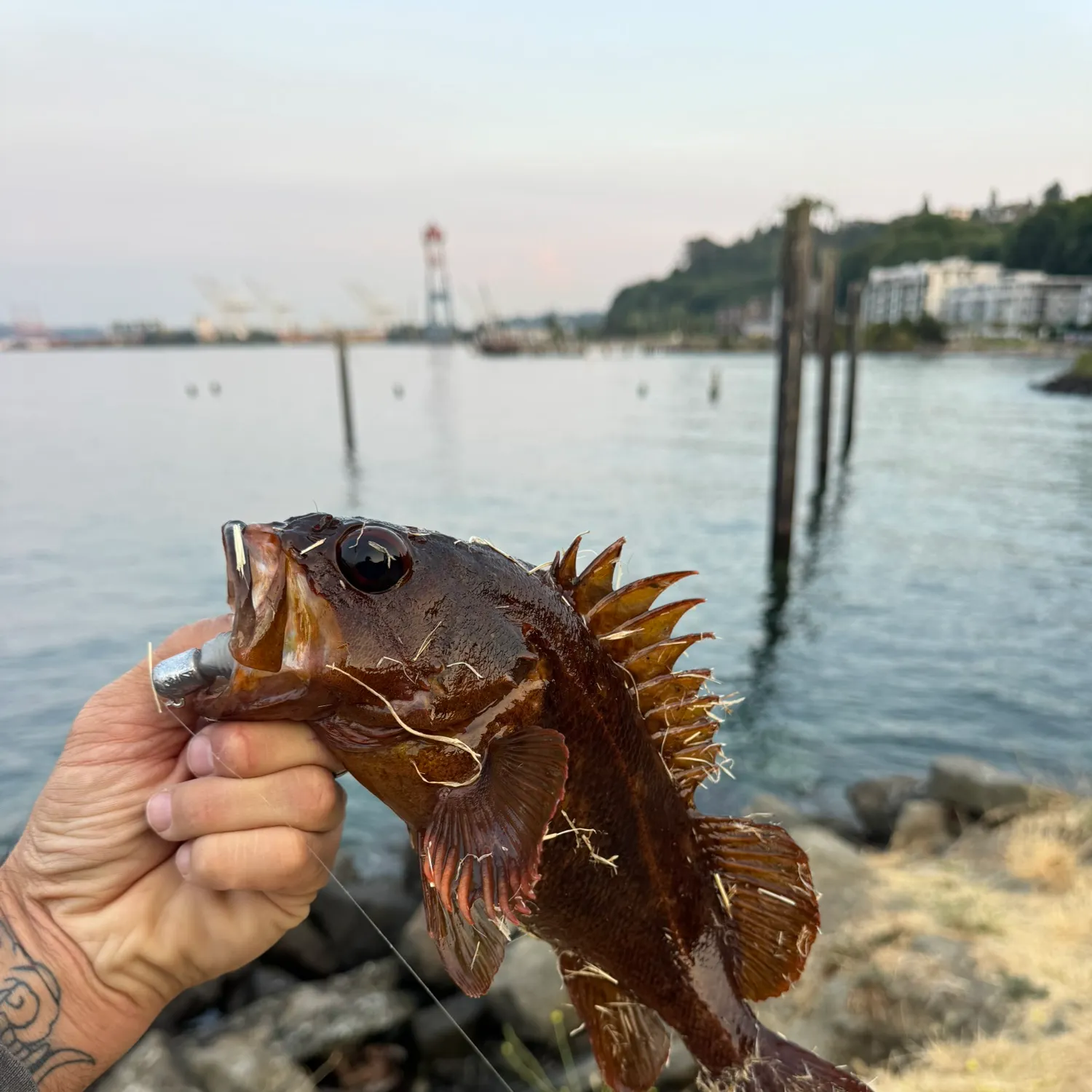 catch