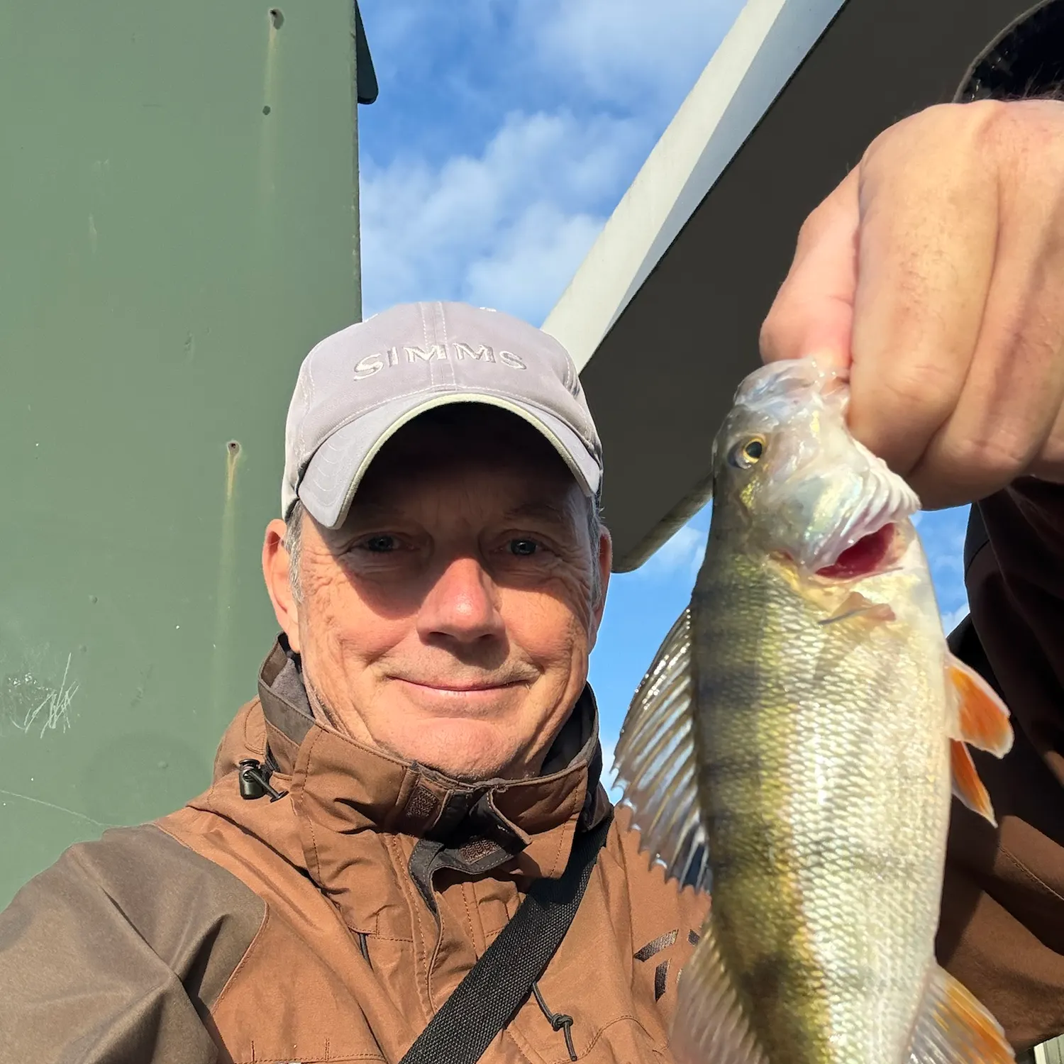 European perch caught on Fishbrain