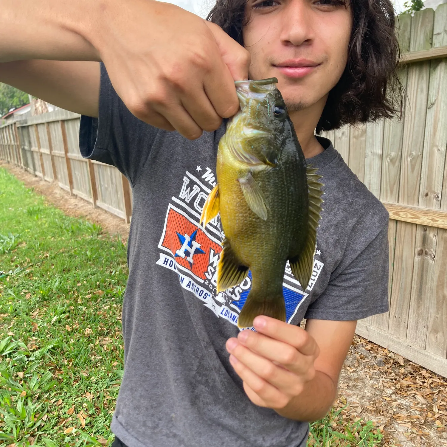 The most recent Green sunfish catches on Fishbrain