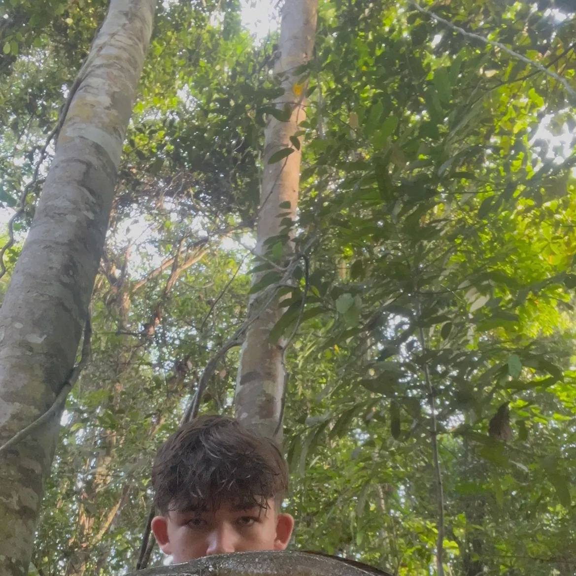 The most recent Striped snakehead catches on Fishbrain