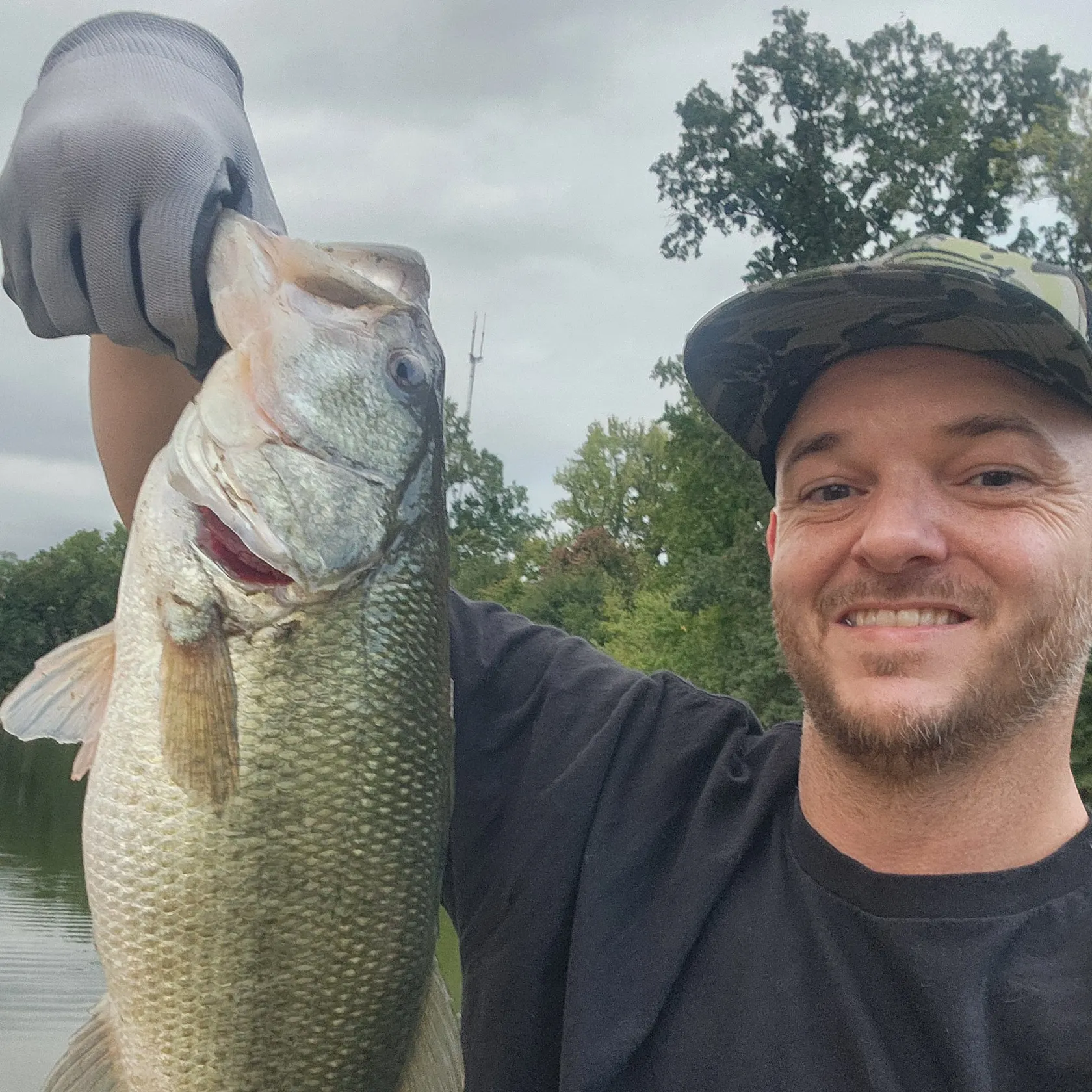 Largemouth bass caught on Fishbrain