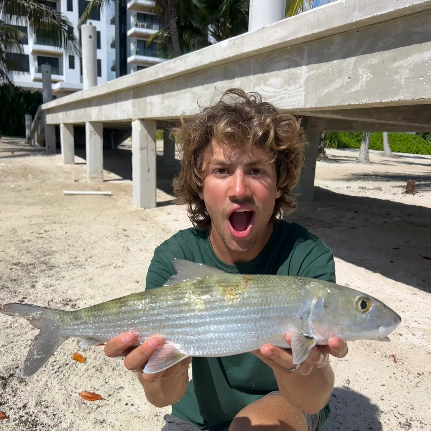 The most recent West Atlantic bonefish catches on Fishbrain