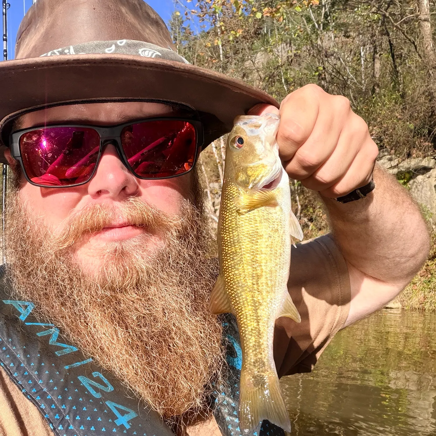 Spotted bass caught on Fishbrain