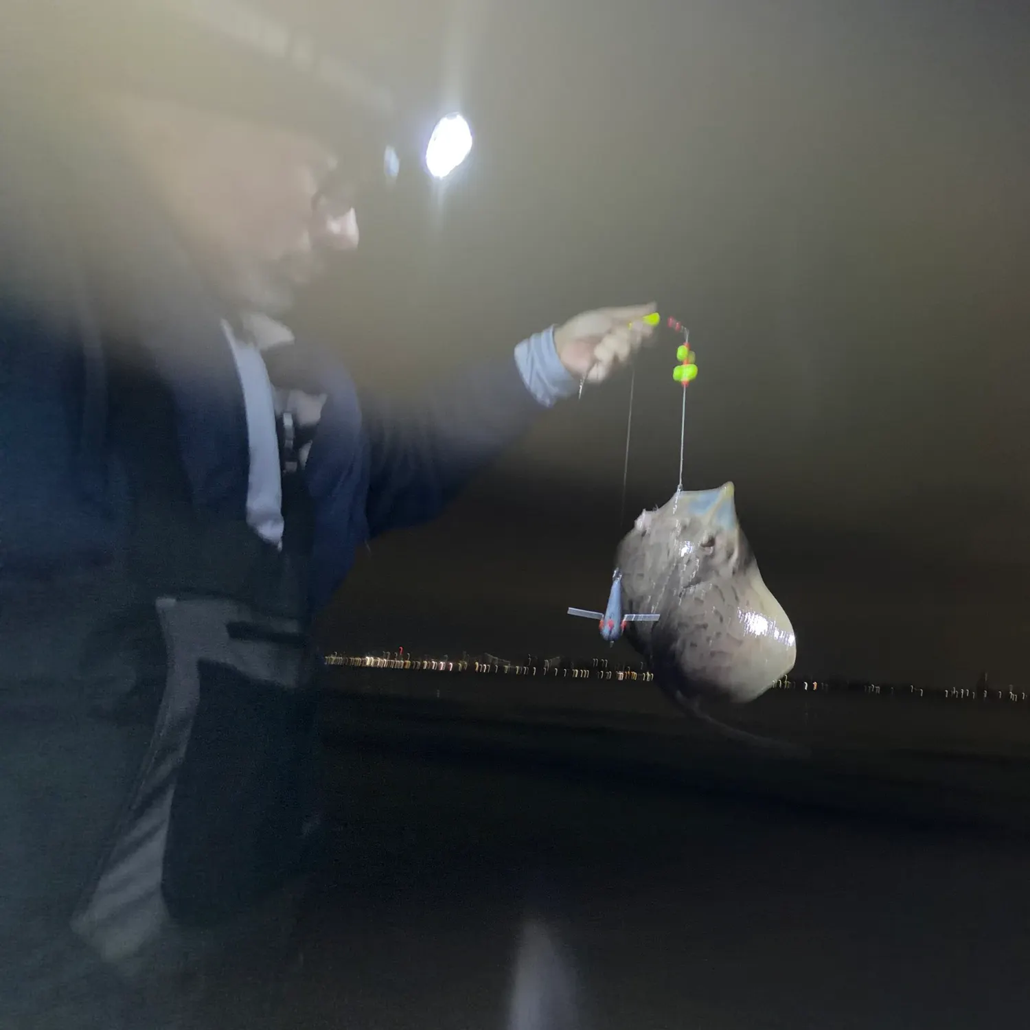 The most recent Blue skate catches on Fishbrain