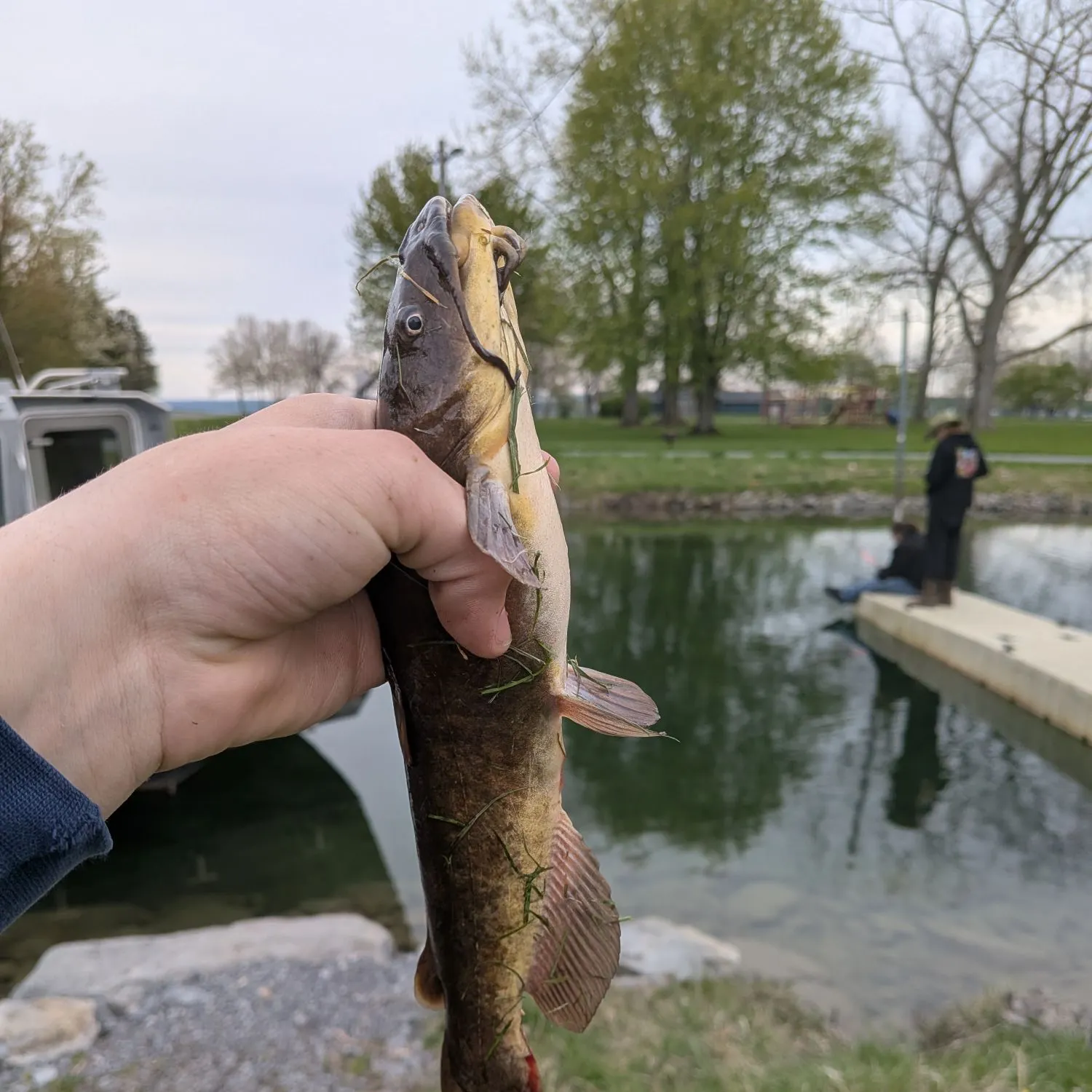 catch