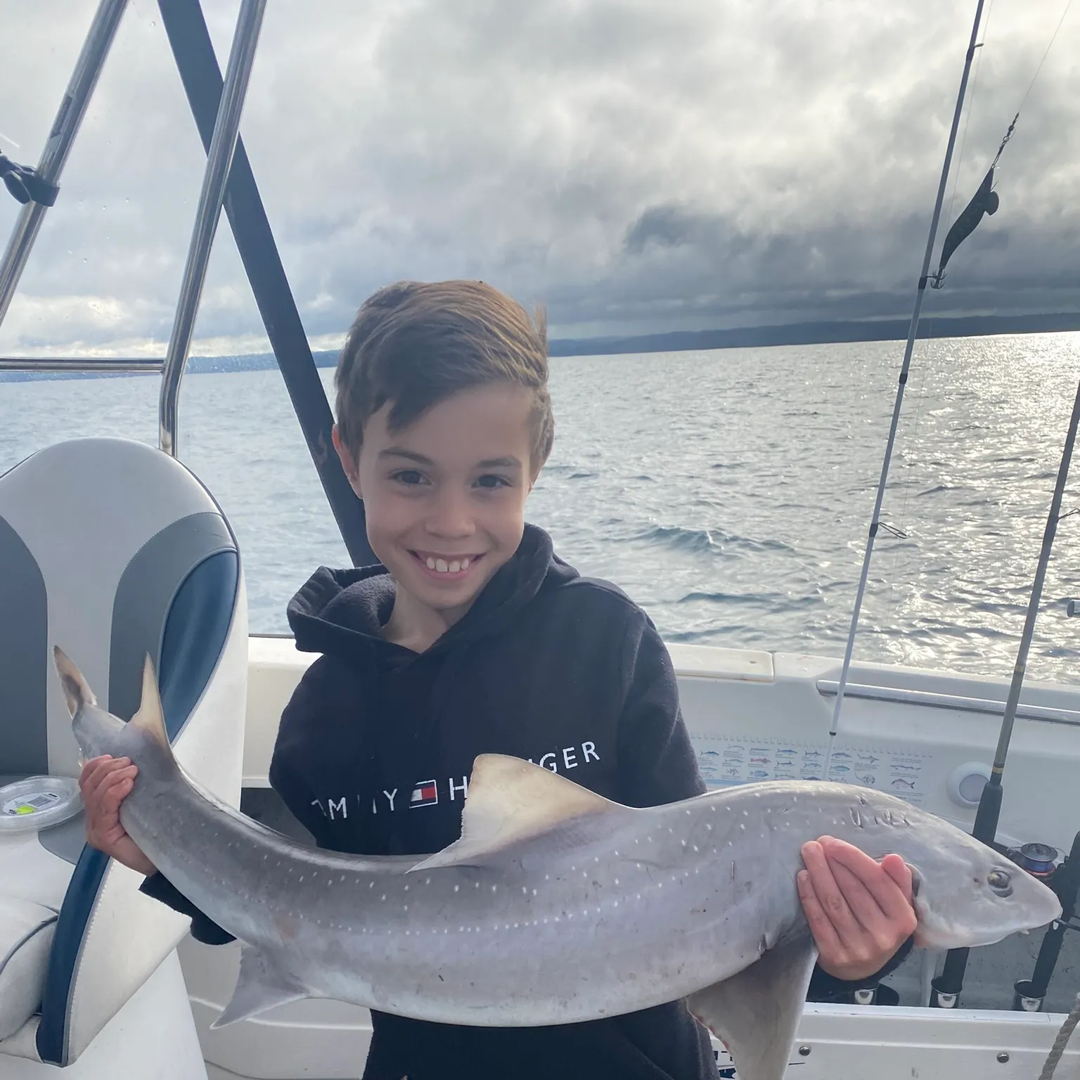 The most recent Gummy shark catches on Fishbrain