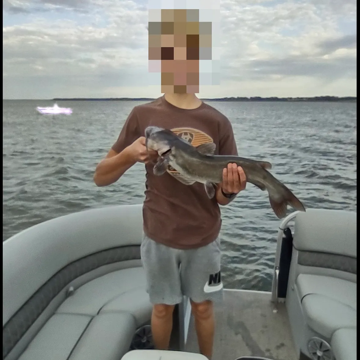 Channel catfish caught on Fishbrain