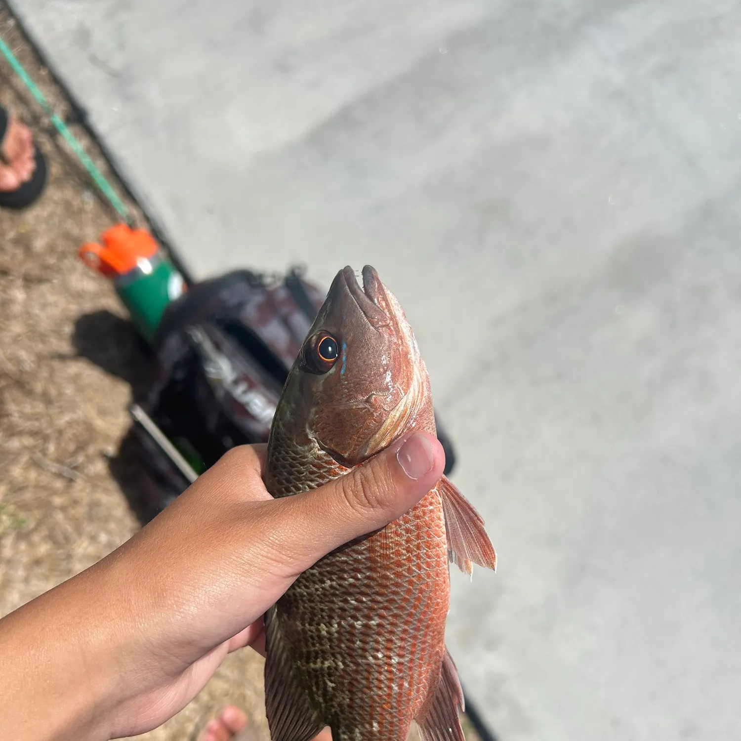 catch