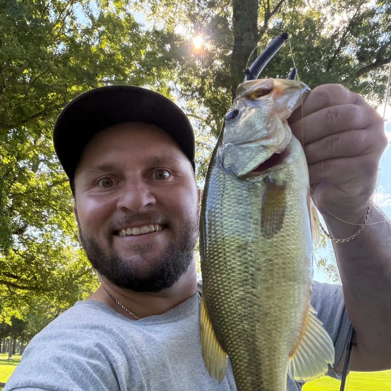 Largemouth bass caught on Fishbrain