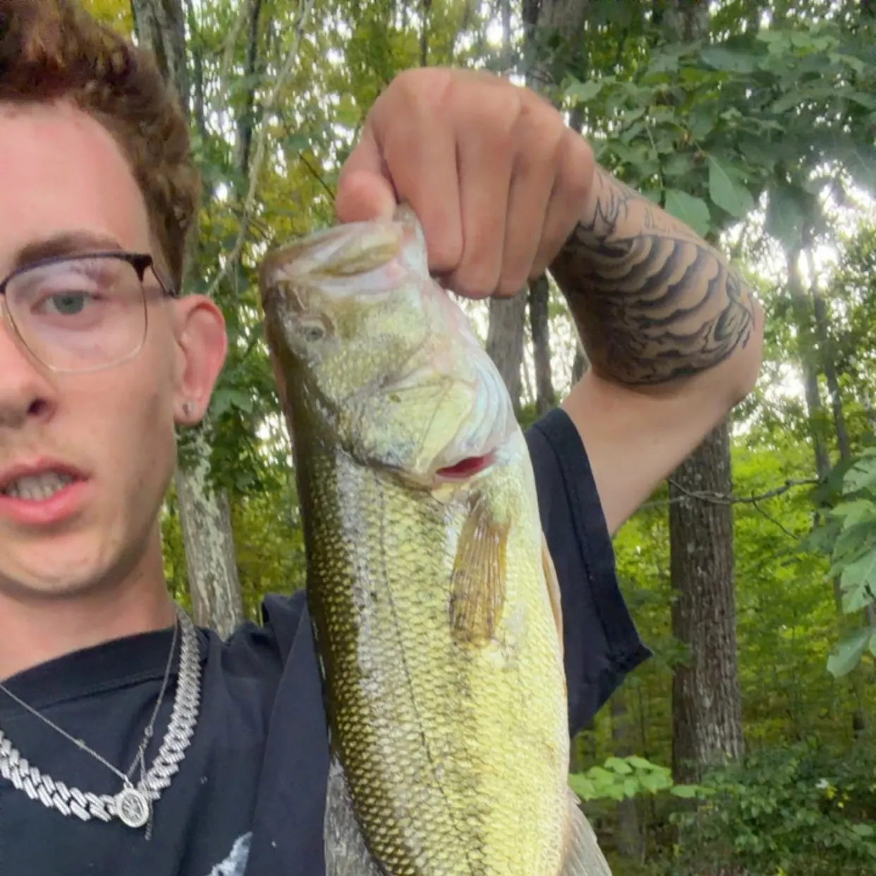 Largemouth bass caught on Fishbrain