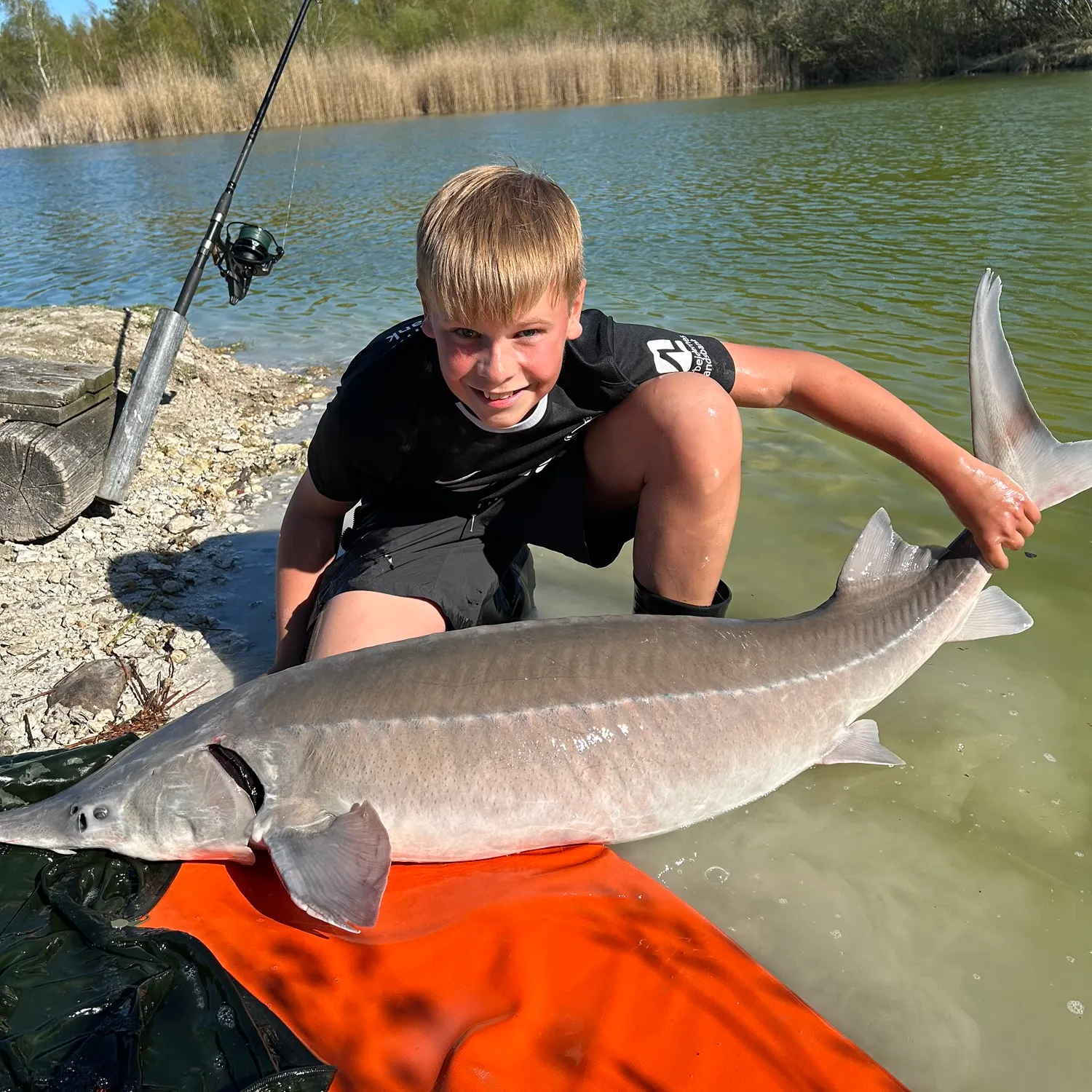 The most recent Siberian sturgeon catches on Fishbrain