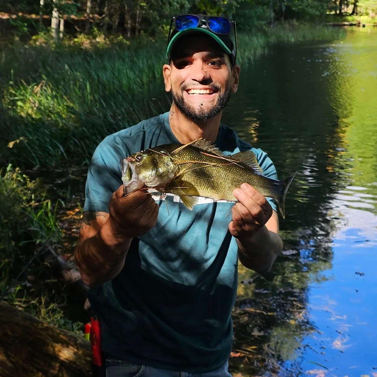 Largemouth bass caught on Fishbrain
