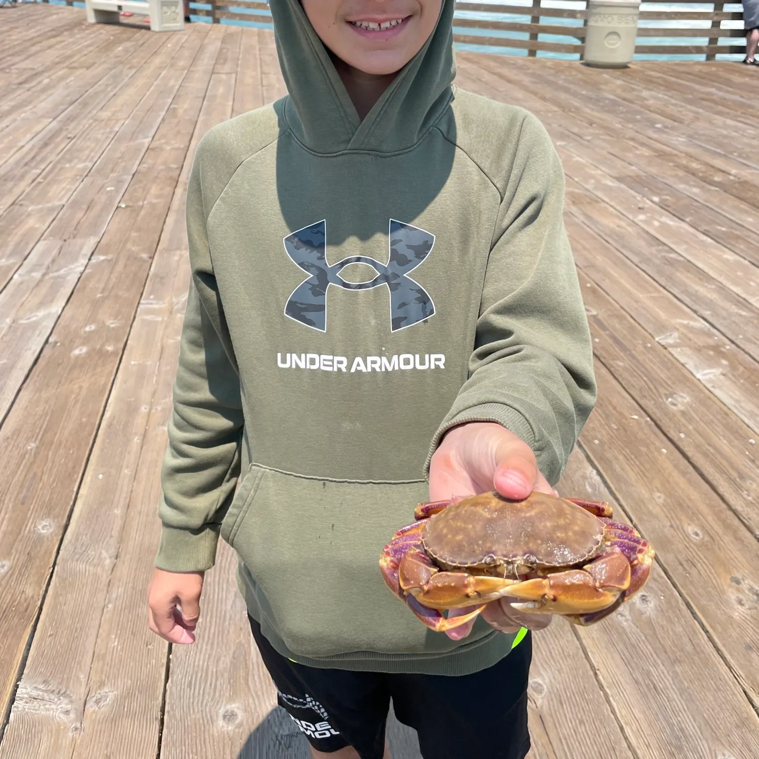 The most recent Jonah crab catches on Fishbrain