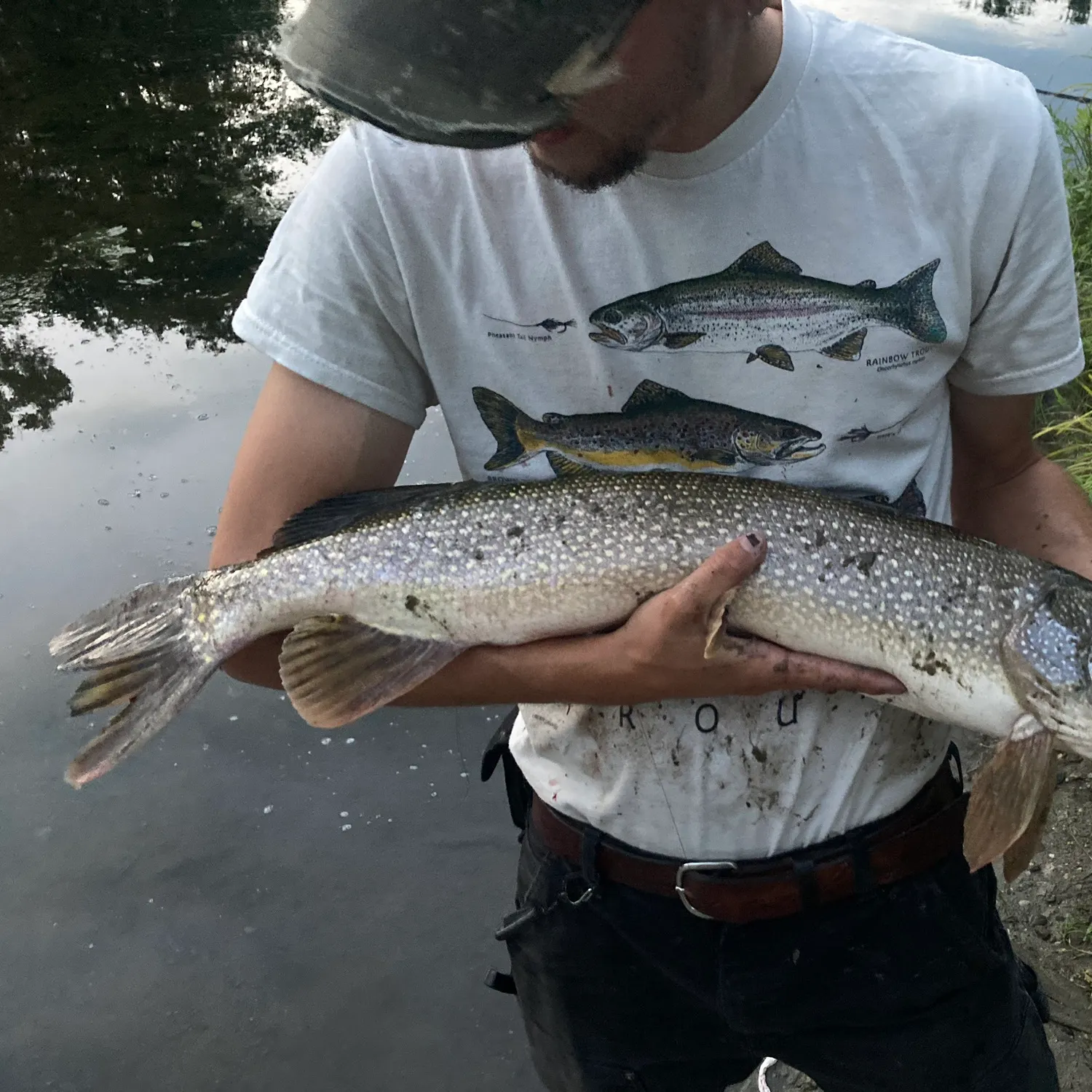 Northern pike caught on Fishbrain