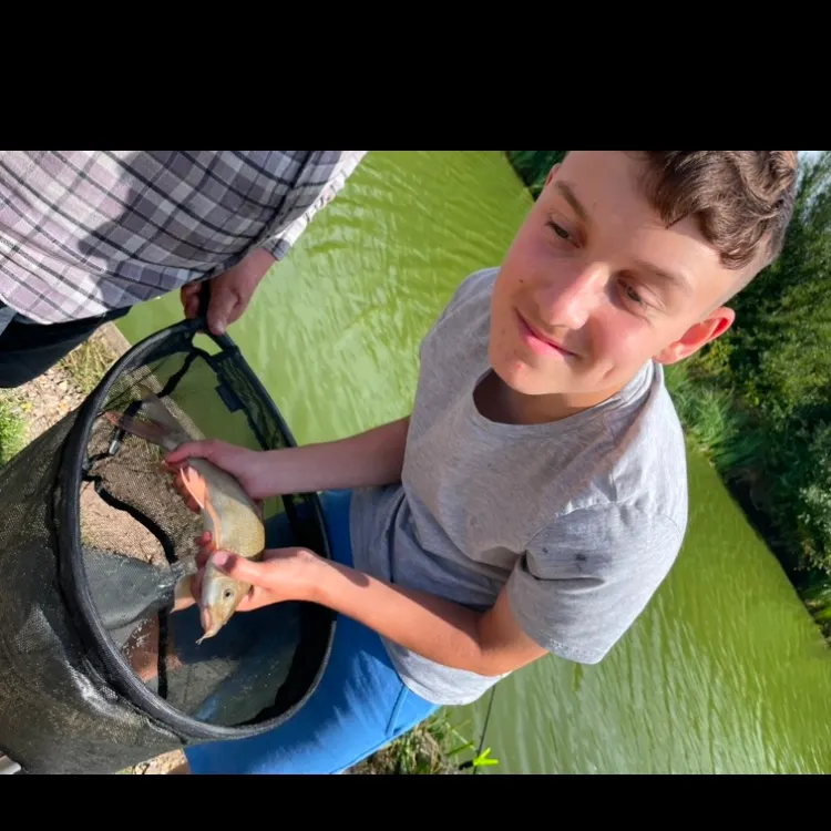 The most recent Common barbel catches on Fishbrain