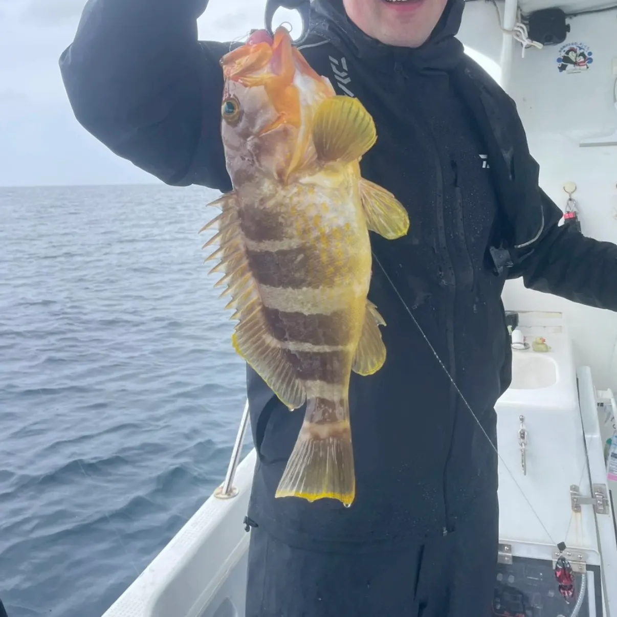 The most recent Blacktip grouper catches on Fishbrain