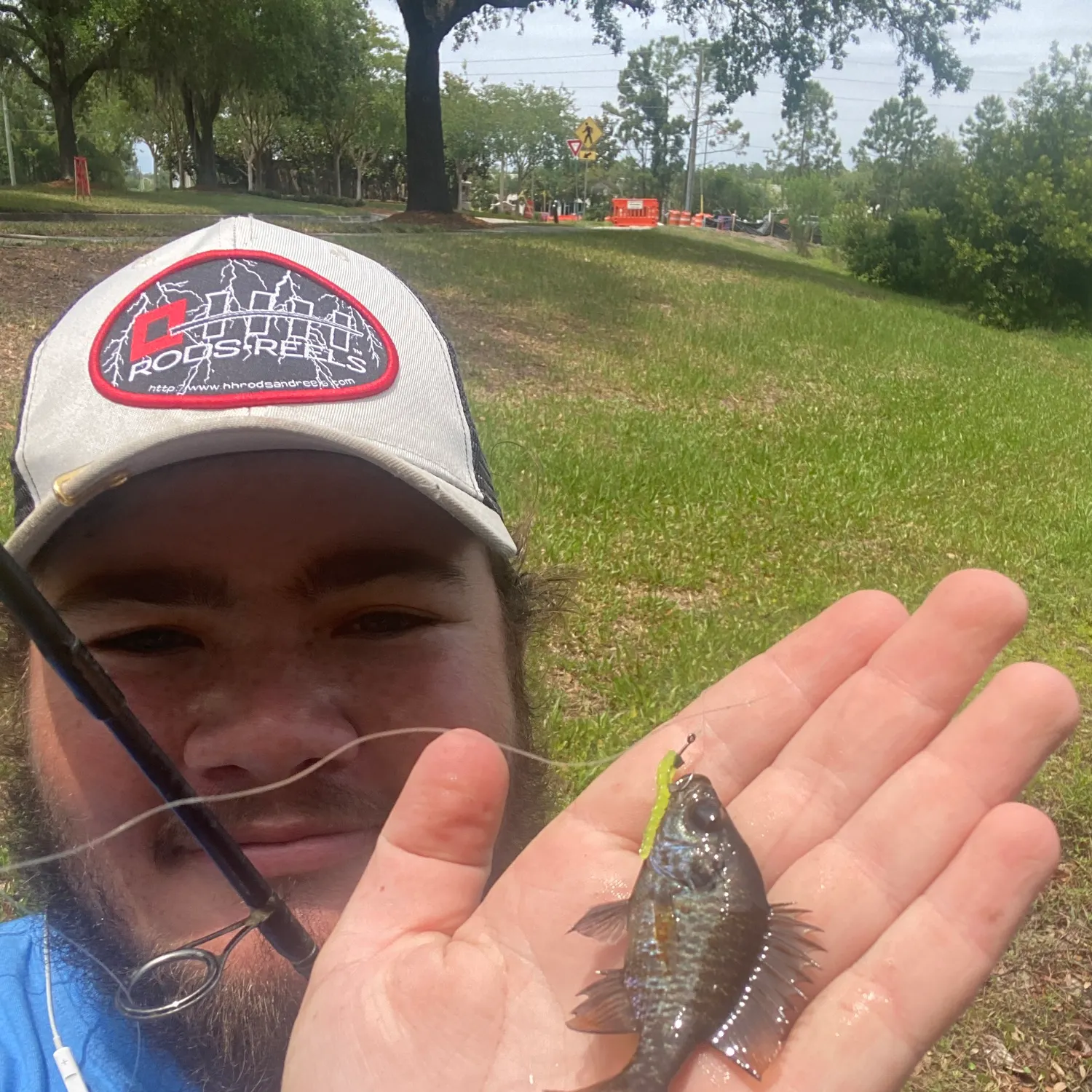 The most recent Wargill hybrid catches on Fishbrain