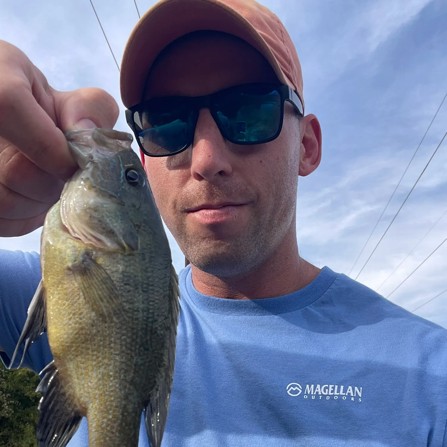 Green sunfish caught on Fishbrain