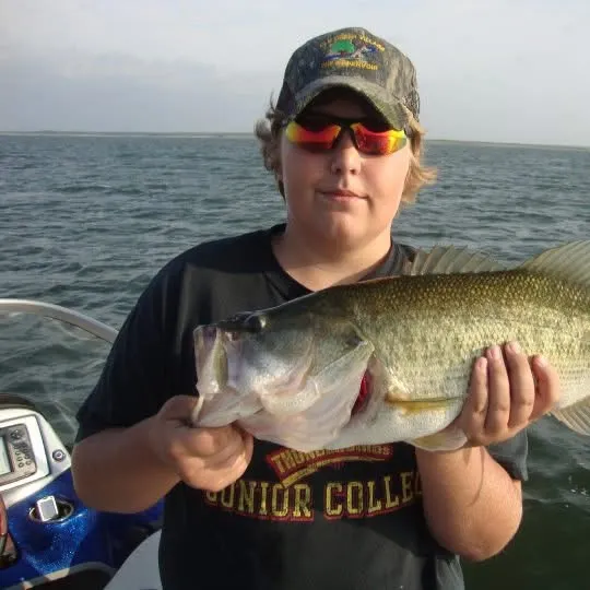 ᐅ O. H. Ivie Lake fishing reports🎣• Brownwood, TX (United States) fishing