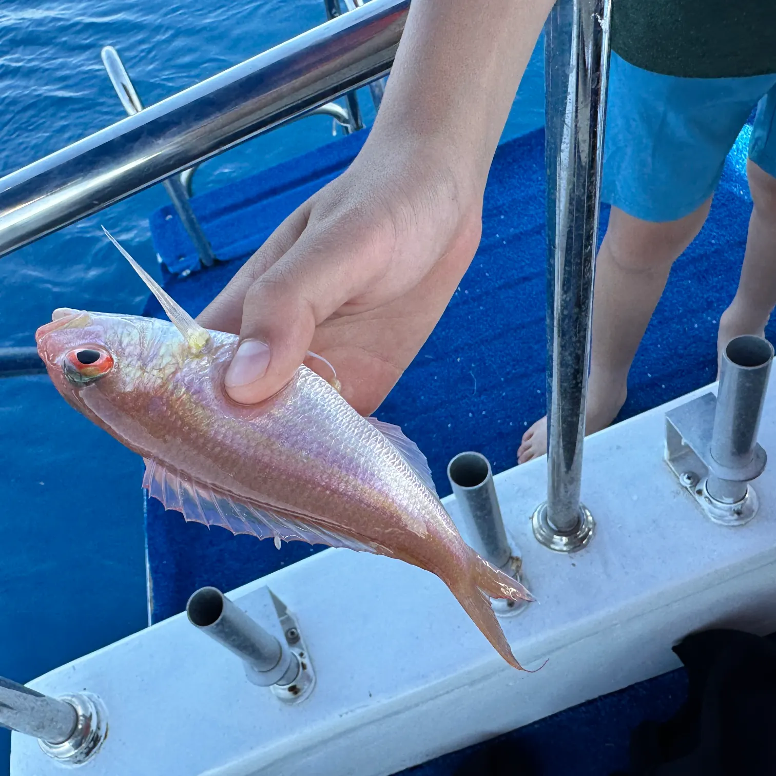 The most recent Yellowbelly threadfin bream catches on Fishbrain