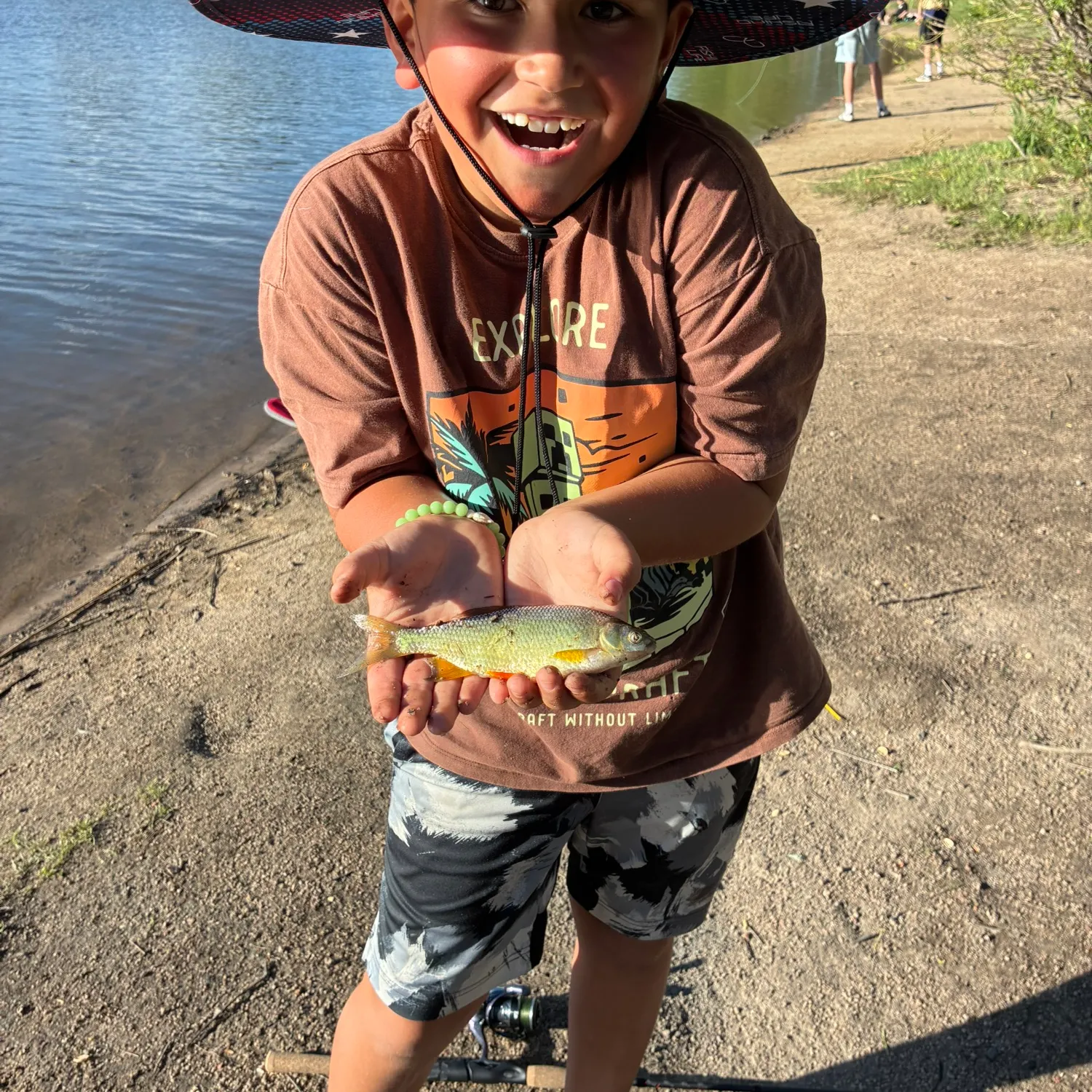 The most recent Golden shiner catches on Fishbrain