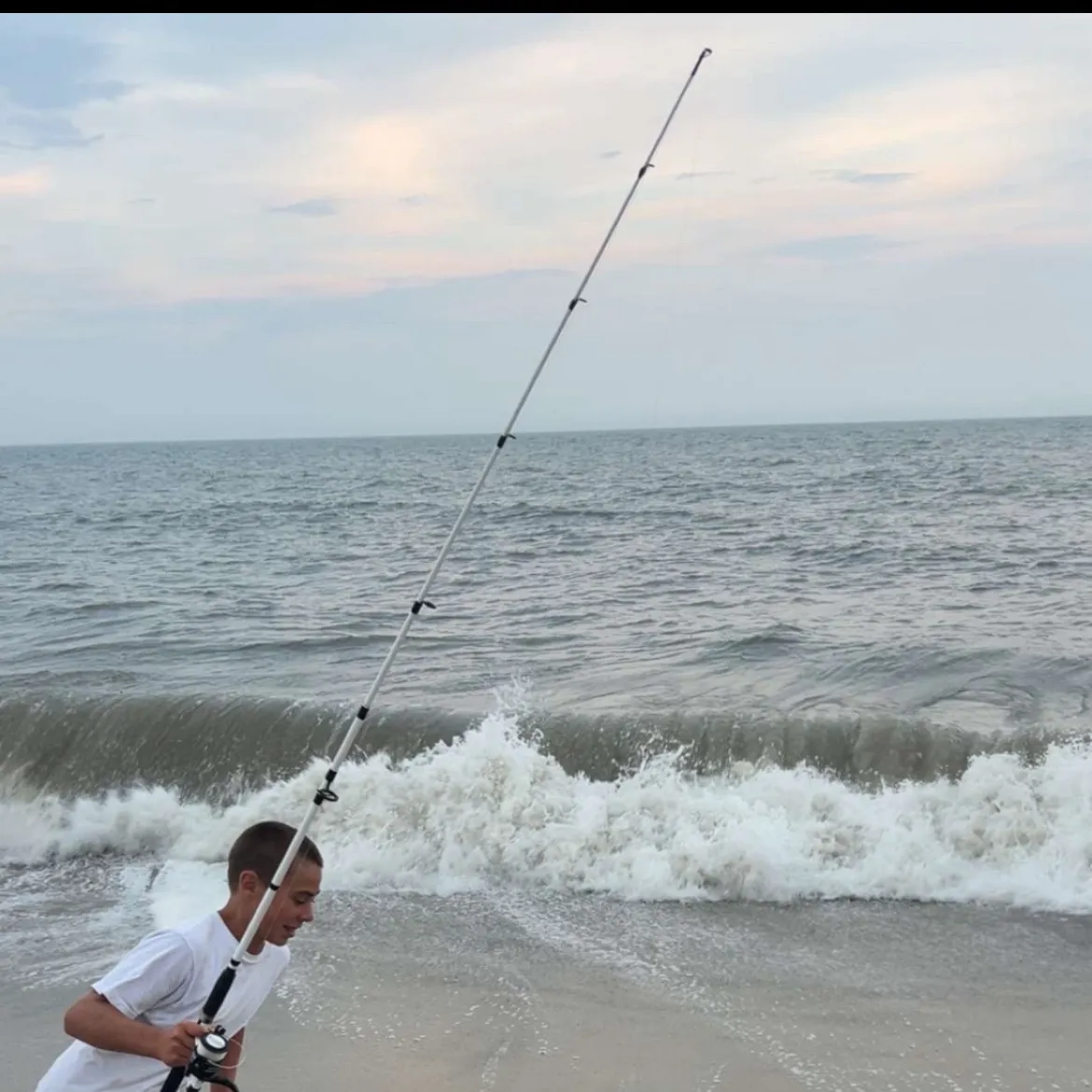 The most recent Blue skate catches on Fishbrain