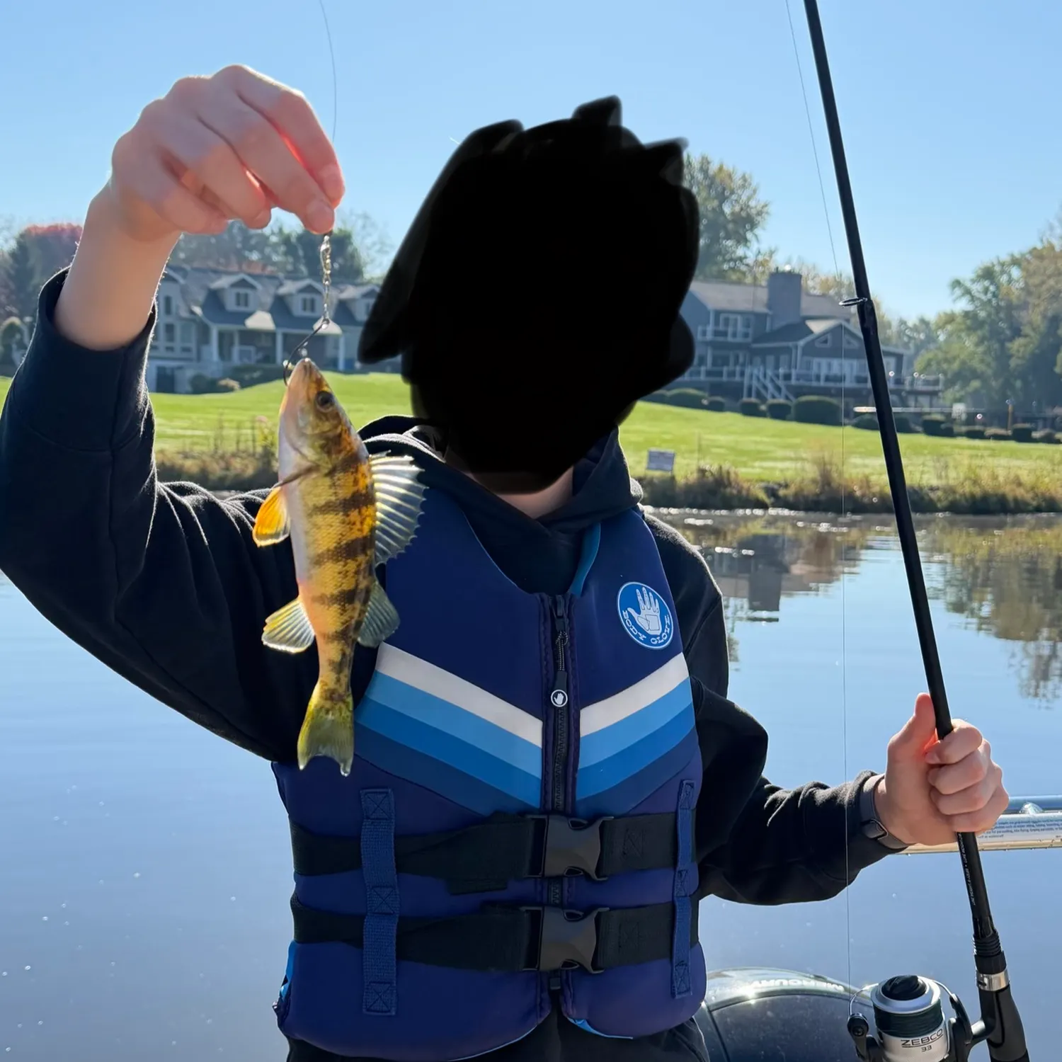 Yellow perch caught on Fishbrain