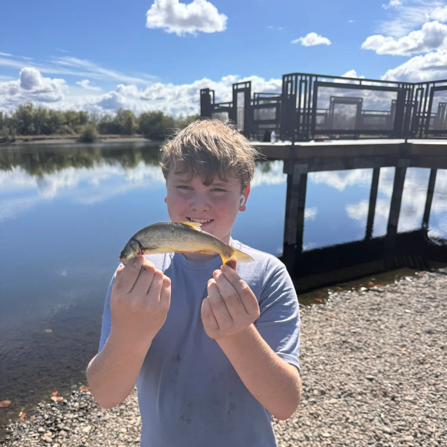 Northern pikeminnow caught on Fishbrain