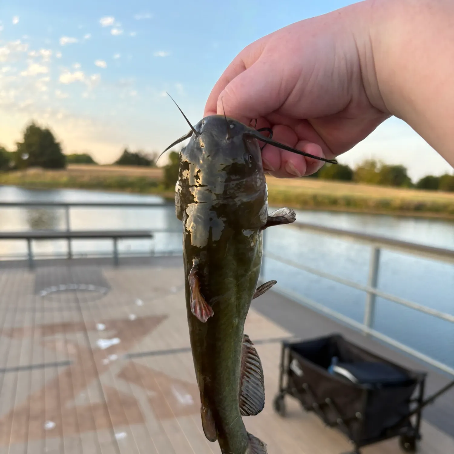 catch